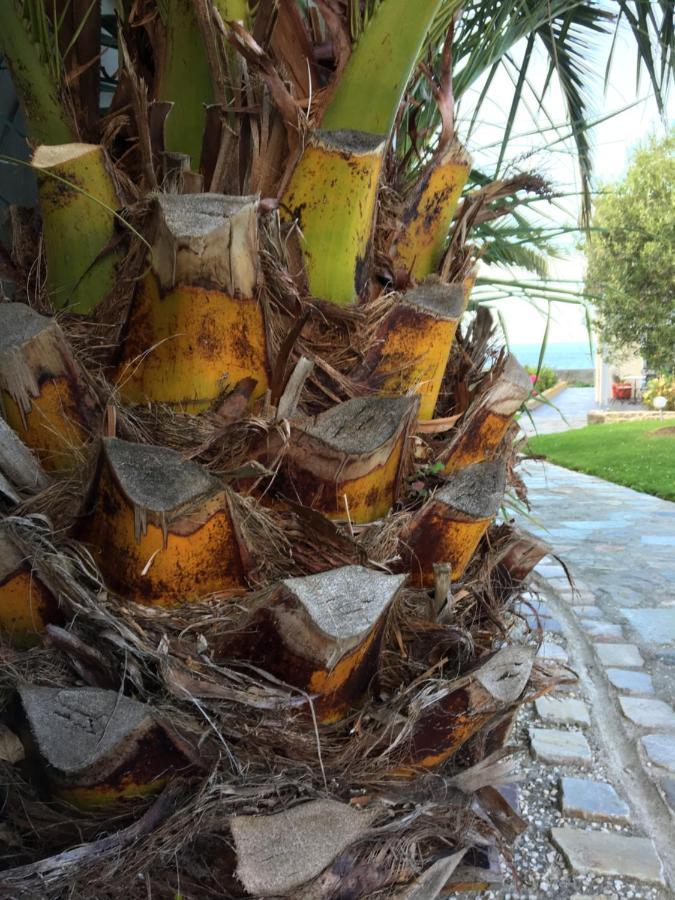 Olive Et Pomme Villa Bretteville Bagian luar foto